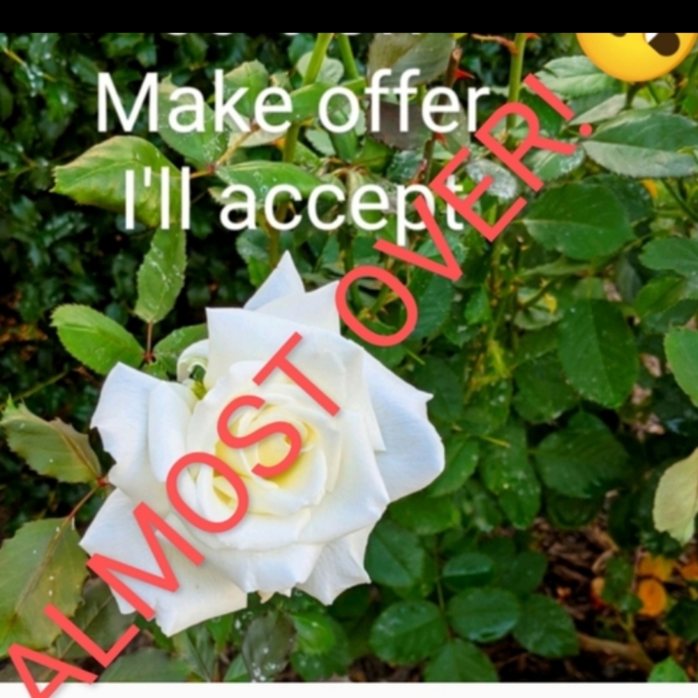 Everything Must Goo & All Offers Accepted.